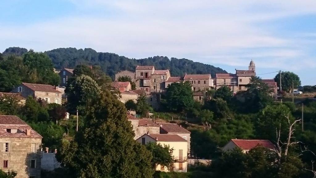 Bed and Breakfast San Larenzu à Aullene Extérieur photo